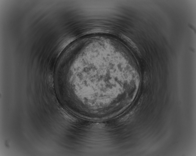 X0000096951321200802291047