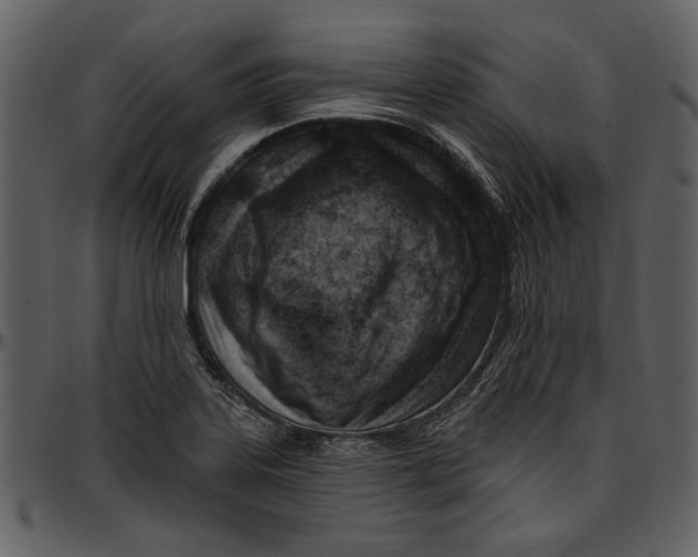 X0000096951323200802291047