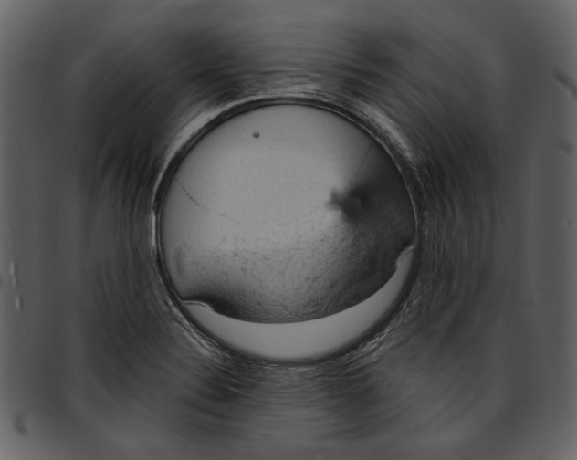 X0000096951324200802291047