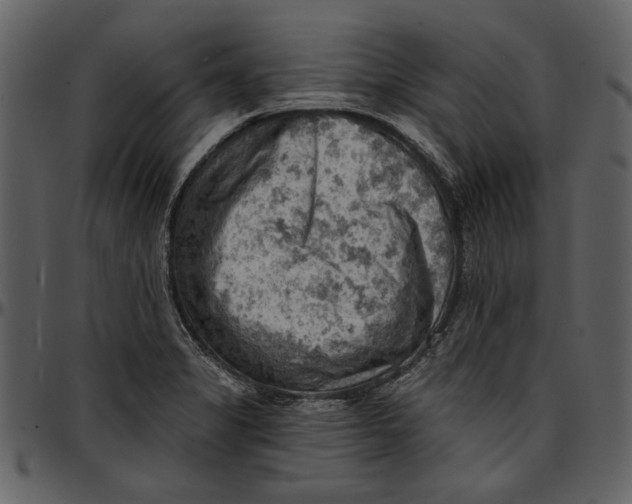 X0000096951325200802291047