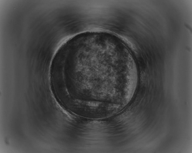 X0000096951327200802291047