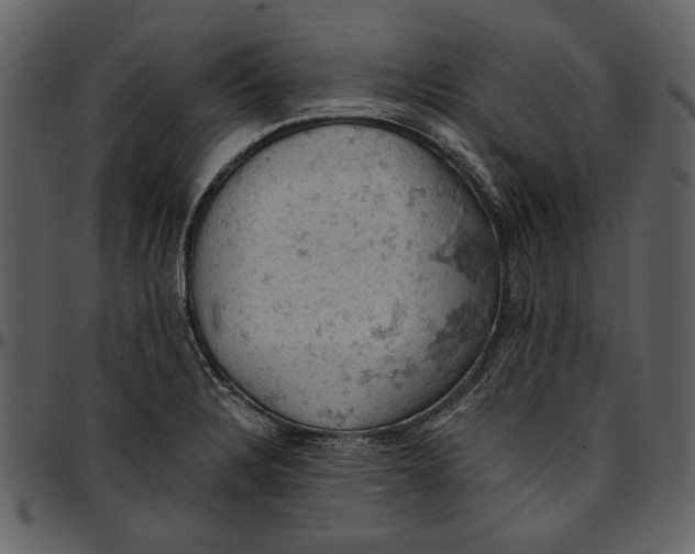 X0000096951328200802291047