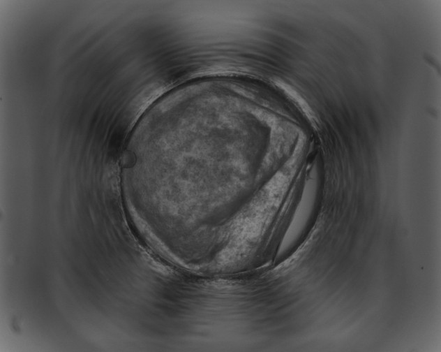 X0000096951329200802291047