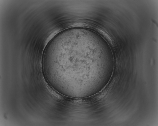 X0000096951330200802291047