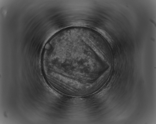 X0000096951331200802291047