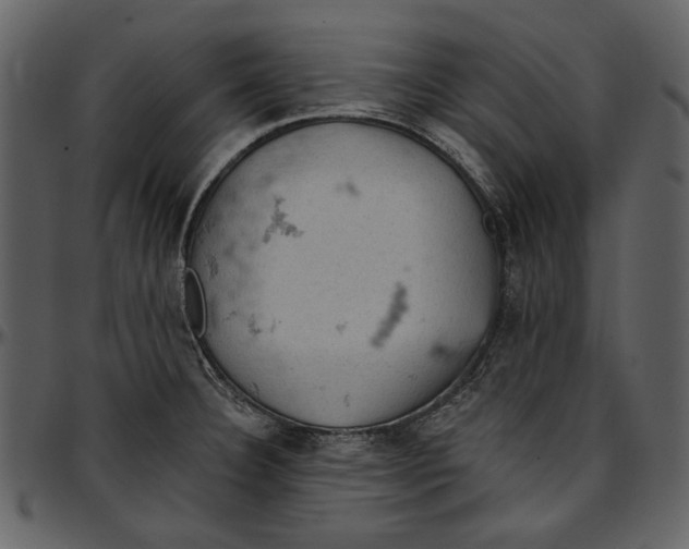 X0000096951332200802291047