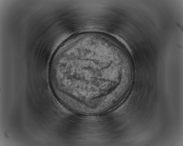 X0000096951333200802291047