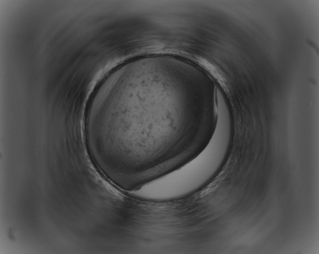 X0000096951334200802291047