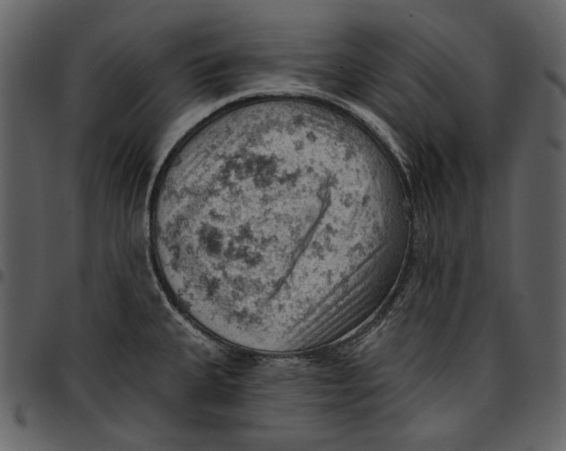 X0000096951335200802291047