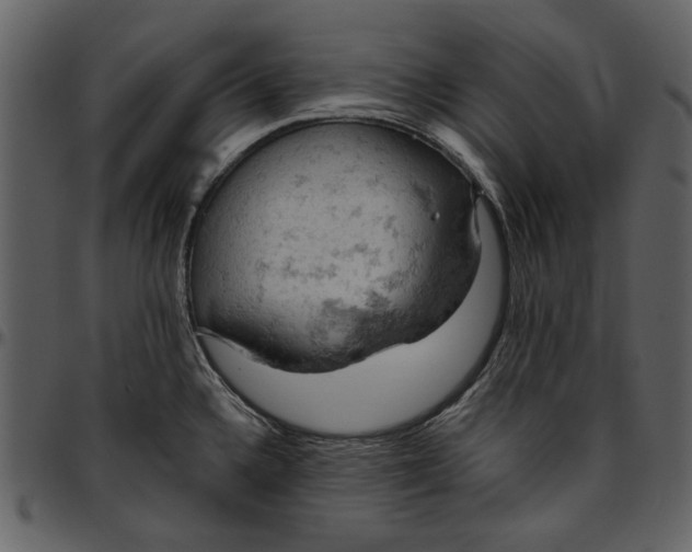 X0000096951336200802291047