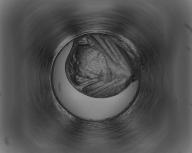 X0000096951338200802291047