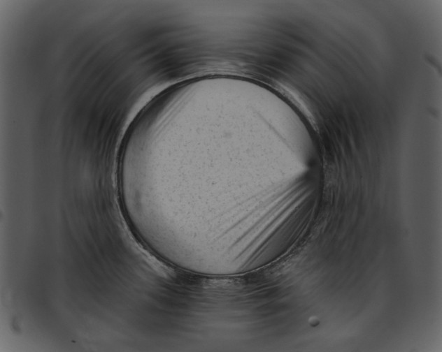 X0000096951339200802291047