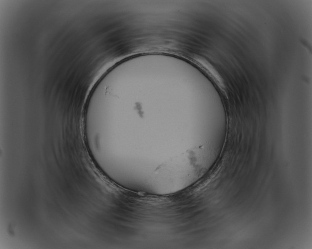 X0000096951340200802291047