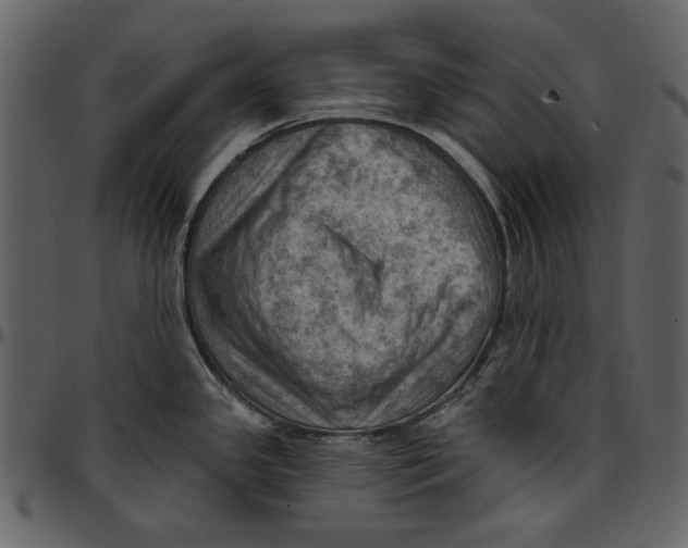 X0000096951341200802291047