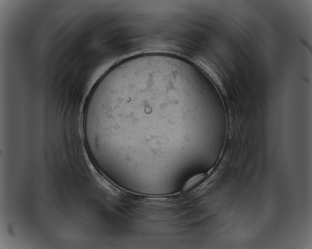 X0000096951342200802291047