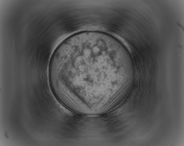 X0000096951343200802291047