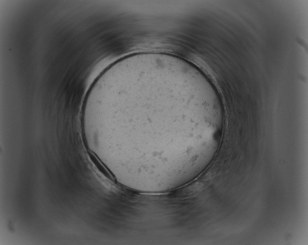 X0000096951344200802291047