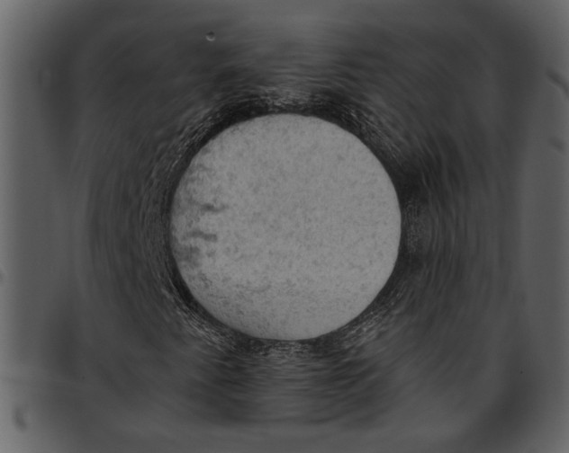 X0000096951345200802291046