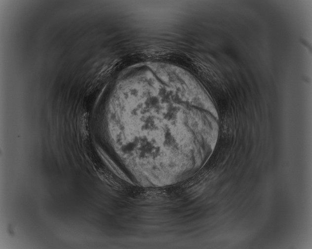 X0000096951346200802291046