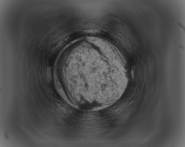 X0000096951347200802291046