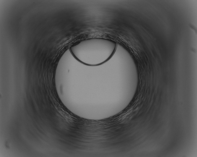 X0000096951348200802291046