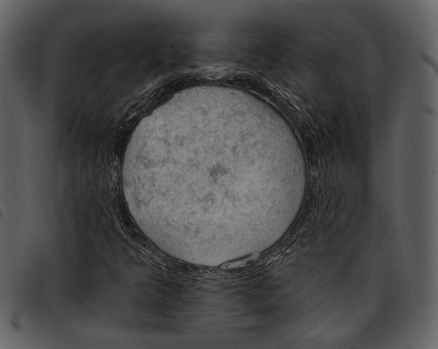 X0000096951349200802291046