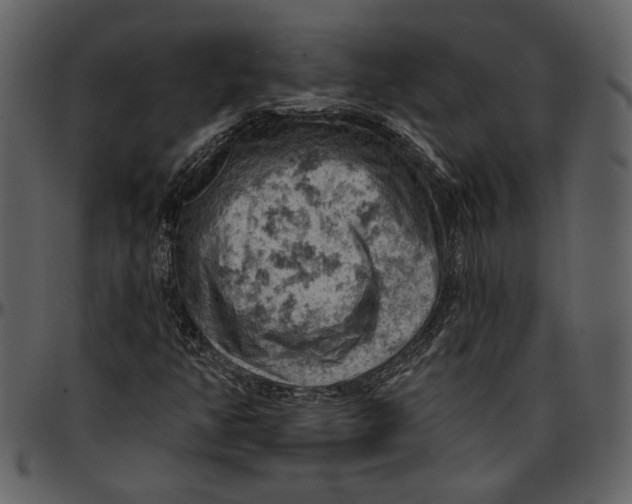 X0000096951350200802291046