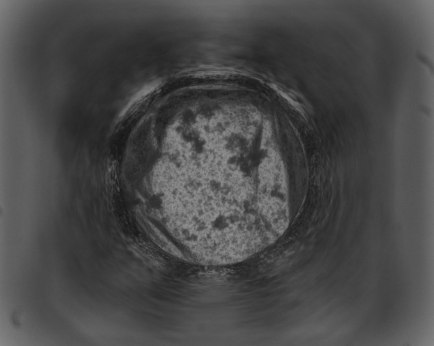 X0000096951351200802291046