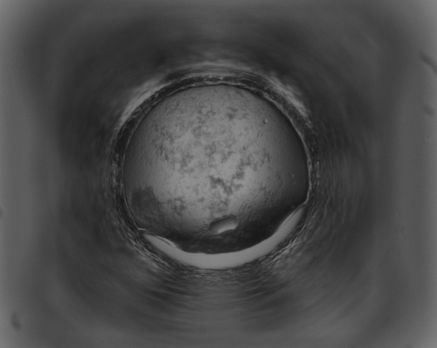 X0000096951352200802291046