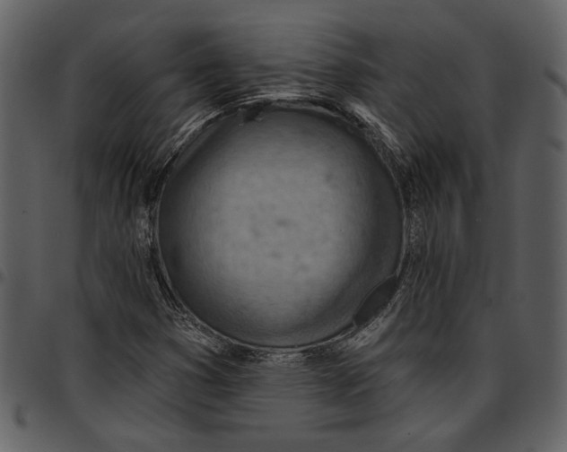 X0000096951353200802291046