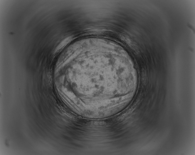 X0000096951354200802291046