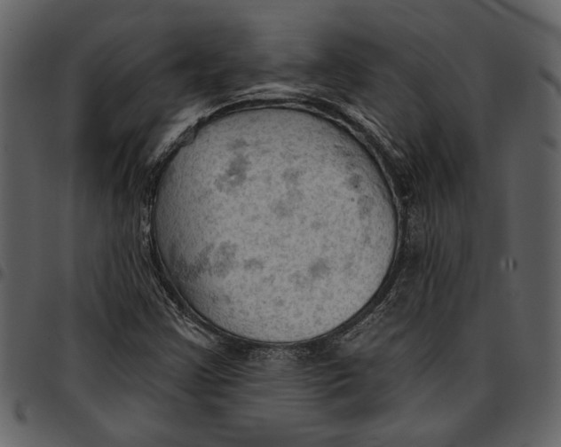 X0000096951355200802291046