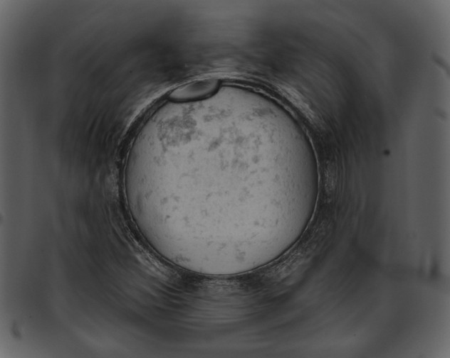 X0000096951356200802291046