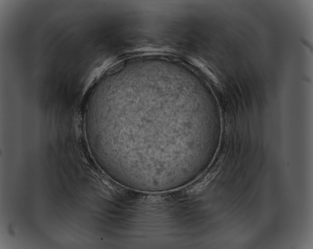 X0000096951357200802291046