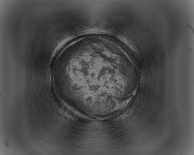 X0000096951358200802291046