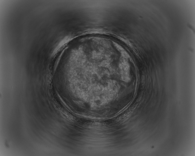 X0000096951359200802291046