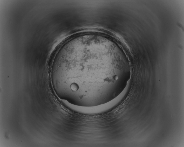 X0000096951360200802291046