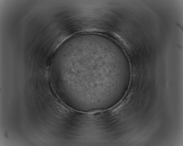 X0000096951361200802291046