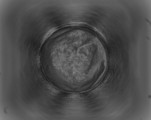 X0000096951362200802291046