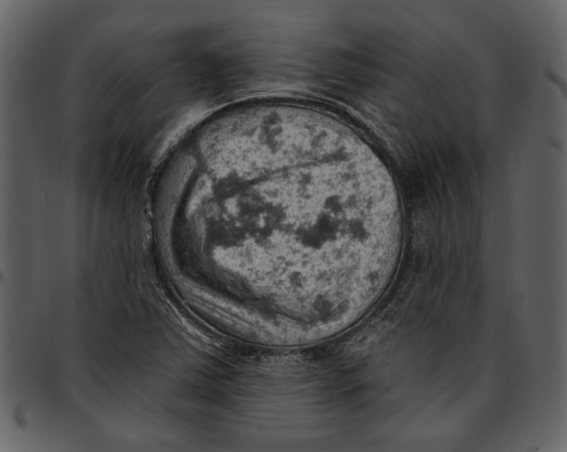 X0000096951363200802291046