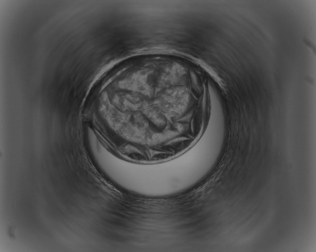 X0000096951364200802291046