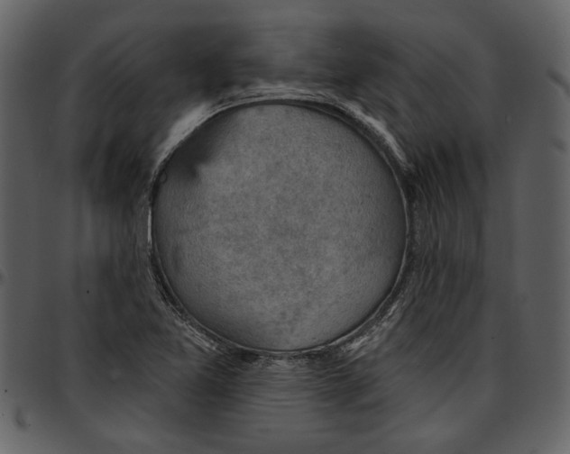 X0000096951365200802291046