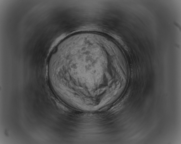 X0000096951366200802291046