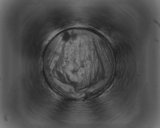 X0000096951367200802291046