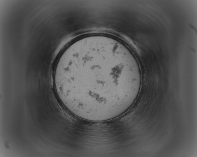 X0000096951368200802291046