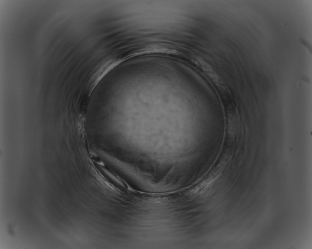 X0000096951369200802291046