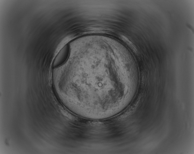 X0000096951370200802291046