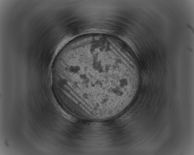 X0000096951371200802291046