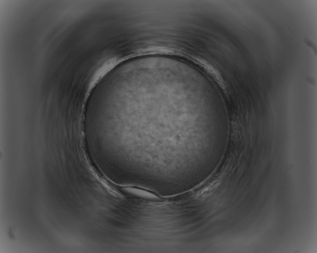 X0000096951373200802291046