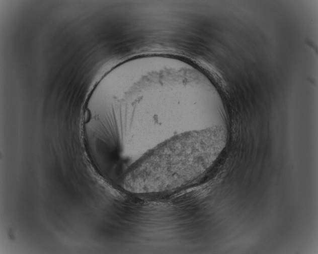 X0000096951374200802291046